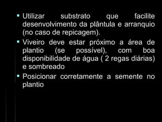  Utilizar substrato que faciliteUtilizar substrato que facilite
desenvolvimento da plântula e arranquiodesenvolvimento da plântula e arranquio
(no caso de repicagem).(no caso de repicagem).
 Viveiro deve estar próximo a área deViveiro deve estar próximo a área de
plantio (se possível), com boaplantio (se possível), com boa
disponibilidade de água ( 2 regas diárias)disponibilidade de água ( 2 regas diárias)
e sombreadoe sombreado
 Posicionar corretamente a semente noPosicionar corretamente a semente no
plantioplantio
 