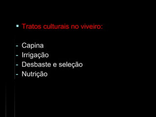  Tratos culturais no viveiro:Tratos culturais no viveiro:
- CapinaCapina
- IrrigaçãoIrrigação
- Desbaste e seleçãoDesbaste e seleção
- NutriçãoNutrição
 