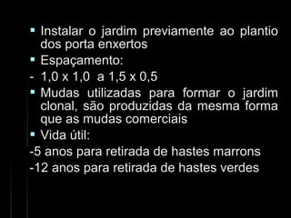  Instalar o jardim previamente ao plantioInstalar o jardim previamente ao plantio
dos porta enxertosdos porta enxertos
 Espaçamento:Espaçamento:
- 1,0 x 1,0 a 1,5 x 0,51,0 x 1,0 a 1,5 x 0,5
 Mudas utilizadas para formar o jardimMudas utilizadas para formar o jardim
clonal, são produzidas da mesma formaclonal, são produzidas da mesma forma
que as mudas comerciaisque as mudas comerciais
 Vida útil:Vida útil:
-5 anos para retirada de hastes marrons-5 anos para retirada de hastes marrons
-12 anos para retirada de hastes verdes-12 anos para retirada de hastes verdes
 