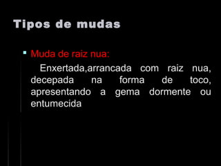Tipos de mudasTipos de mudas
 Muda de raiz nua:Muda de raiz nua:
Enxertada,arrancada com raiz nua,Enxertada,arrancada com raiz nua,
decepada na forma de toco,decepada na forma de toco,
apresentando a gema dormente ouapresentando a gema dormente ou
entumecidaentumecida
 