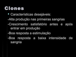 ClonesClones
 Características desejáveis:Características desejáveis:
-Alta produção nas primeiras sangrias-Alta produção nas primeiras sangrias
-Crescimento satisfatório antes e após-Crescimento satisfatório antes e após
entrar em produçãoentrar em produção
-Boa resposta a estimulação-Boa resposta a estimulação
-Boa resposta a baixa intensidade de-Boa resposta a baixa intensidade de
sangriasangria
 