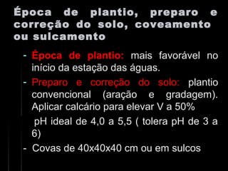 Época de plantio, preparo eÉpoca de plantio, preparo e
correção do solo, coveamentocorreção do solo, coveamento
ou sulcamentoou sulcamento
- Época de plantio: mais favorável no
início da estação das águas.
- Preparo e correção do solo:Preparo e correção do solo: plantioplantio
convencional (aração e gradagem).convencional (aração e gradagem).
Aplicar calcário para elevar V a 50%Aplicar calcário para elevar V a 50%
pH ideal de 4,0 a 5,5 ( tolera pH de 3 apH ideal de 4,0 a 5,5 ( tolera pH de 3 a
6)6)
- Covas de 40x40x40 cm ou em sulcos- Covas de 40x40x40 cm ou em sulcos
 