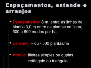 Espaçamentos, estande eEspaçamentos, estande e
arranjosarranjos
 Espaçamento:Espaçamento: 8 m, entre as linhas de8 m, entre as linhas de
plantio 3,0 m entre as plantas na linha,plantio 3,0 m entre as plantas na linha,
500 a 600 mudas por ha.500 a 600 mudas por ha.
 Estande|:Estande|: + ou - 500 plantas/há+ ou - 500 plantas/há
 Arranjo:Arranjo: fileiras simples ou duplasfileiras simples ou duplas
retângulo ou trianguloretângulo ou triangulo
 