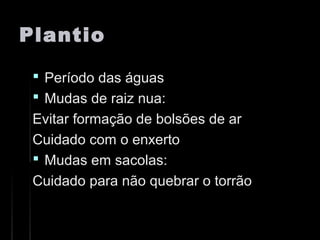 PlantioPlantio
 Período das águasPeríodo das águas
 Mudas de raiz nua:Mudas de raiz nua:
Evitar formação de bolsões de arEvitar formação de bolsões de ar
Cuidado com o enxertoCuidado com o enxerto
 Mudas em sacolas:Mudas em sacolas:
Cuidado para não quebrar o torrãoCuidado para não quebrar o torrão
 