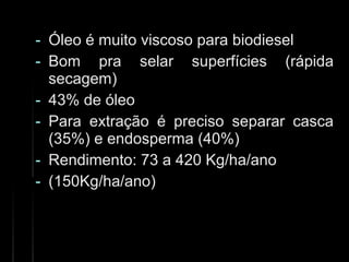 - Óleo é muito viscoso para biodieselÓleo é muito viscoso para biodiesel
- Bom pra selar superfícies (rápidaBom pra selar superfícies (rápida
secagem)secagem)
- 43% de óleo43% de óleo
- Para extração é preciso separar cascaPara extração é preciso separar casca
(35%) e endosperma (40%)(35%) e endosperma (40%)
- Rendimento: 73 a 420 Kg/ha/anoRendimento: 73 a 420 Kg/ha/ano
- (150Kg/ha/ano)(150Kg/ha/ano)
 