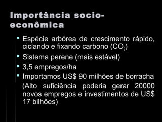 Importância socio-Importância socio-
econômicaeconômica
 Espécie arbórea de crescimento rápido,Espécie arbórea de crescimento rápido,
ciclando e fixando carbono (COciclando e fixando carbono (CO22))
 Sistema perene (mais estável)Sistema perene (mais estável)
 3,5 empregos/ha3,5 empregos/ha
 Importamos US$ 90 milhões de borrachaImportamos US$ 90 milhões de borracha
(Alto suficiência poderia gerar 20000(Alto suficiência poderia gerar 20000
novos empregos e investimentos de US$novos empregos e investimentos de US$
17 bilhões)17 bilhões)
 