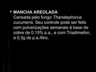  MANCHA AREOLADAMANCHA AREOLADA
Cansada pelo fungoCansada pelo fungo ThanatephorusThanatephorus
cucumeriscucumeris. Seu controle pode ser feito. Seu controle pode ser feito
com pulverizações semanais à base decom pulverizações semanais à base de
cobre de 0,15% p.a., e com Triadimefon,cobre de 0,15% p.a., e com Triadimefon,
a 0,3g de p.a./litro.a 0,3g de p.a./litro.
 