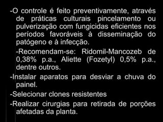 -O controle é feito preventivamente, através-O controle é feito preventivamente, através
de práticas culturais pincelamento oude práticas culturais pincelamento ou
pulverização com fungicidas eficientes nospulverização com fungicidas eficientes nos
períodos favoráveis à disseminação doperíodos favoráveis à disseminação do
patógeno e à infecção.patógeno e à infecção.
-Recomendam-se: Ridomil-Mancozeb de-Recomendam-se: Ridomil-Mancozeb de
0,38% p.a., Aliette (Fozetyl) 0,5% p.a.,0,38% p.a., Aliette (Fozetyl) 0,5% p.a.,
dentre outros.dentre outros.
-Instalar aparatos para desviar a chuva do-Instalar aparatos para desviar a chuva do
painel.painel.
-Selecionar clones resistentes-Selecionar clones resistentes
-Realizar cirurgias para retirada de porções-Realizar cirurgias para retirada de porções
afetadas da planta.afetadas da planta.
 