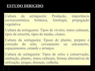 Cultura  da  seringueira:  Produção,  importância 
socioeconômica,  botânica,  fenologia,  propagação 
vegetativa. 
Cultura da seringueira: Tipos de viveiro, tratos culturais, 
tipos de enxertia, tipos de mudas, clones.
Cultura  da  seringueira:  Época  de  plantio,  preparo  e 
correção  do  solo,  coveamento  ou  sulcamento, 
espaçamentos, estande e arranjos.
Cultura  da  seringueira:  Tipos  de  solos  e  conservação, 
adubação, plantio, tratos culturais, formas alternativas de 
utilização, pragas, doenças, colheita. 
ESTUDO DIRIGIDO
 