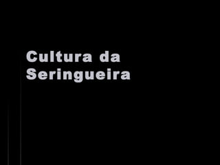 Cultura daCultura da
SeringueiraSeringueira
 