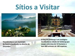 Sítios a Visitar

Traunkirchen é um município
da Áustria localizado no distrito de
Gmunden

O Zoo de Salzburg é um zoológico
localizado na cidade de Salzburg que
ocupa uma área de 14 hectares e
tem 800 animais de 140 espécies.

 