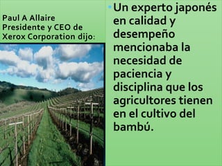 Paul A Allaire
Presidente y CEO de
Xerox Corporation dijo:
•Un experto japonés
en calidad y
desempeño
mencionaba la
necesidad de
paciencia y
disciplina que los
agricultores tienen
en el cultivo del
bambú.
 