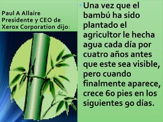 Paul A Allaire
Presidente y CEO de
Xerox Corporation dijo:
•Una vez que el
bambú ha sido
plantado el
agricultor le hecha
agua cada día por
cuatro años antes
que este sea visible,
pero cuando
finalmente aparece,
crece 60 pies en los
siguientes 90 días.
 