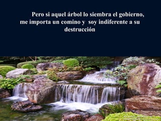 Pero si aquel árbol lo siembra el gobierno,
me importa un comino y soy indiferente a su
destrucción
 