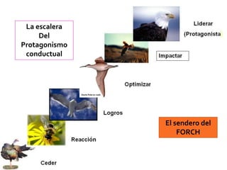 La escalera
Del
Protagonismo
conductual
El sendero del
FORCH
 