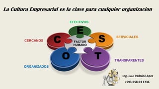 Como Cambiar la Cultura de tu empresa | PDF