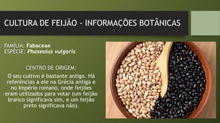 CULTURA DE FEIJÃO - INFORMAÇÕES BOTÂNICAS
FAMÍLIA: Fabaceae
ESPÉCIE: Phaseolus vulgaris
CENTRO DE ORIGEM:
O seu cultivo é bastante antigo. Há
referências a ele na Grécia antiga e
no Império romano, onde feijões
eram utilizados para votar (um feijão
branco significava sim, e um feijão
preto significava não).
 