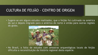 CULTURA DE FEIJÃO – CENTRO DE ORIGEM
• Sugere-se em alguns estudos realizados, que o feijão foi cultivado na américa
do sul e depois migrado para a américa do norte e então para outras regiões
do globo.
• No Brasil, a falta de estudos com amostras arqueológicas locais de feijão
dificulta a reconstituição da história regional desta espécie.
 