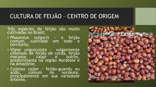 CULTURA DE FEIJÃO – CENTRO DE ORIGEM
Três espécies de feijão são muito
cultivadas no Brasil:
• Phaseolus vulgaris - o feijão
comum, cultivado em todo o
território;
• Vigna unguiculata - vulgarmente
chamado de feijão de corda, feijão
macassa, caupi e outros,
predominante na região Nordeste e
na Amazônia;
• Cajanus cajan - feijão-guandu ou
andu, comum no nordeste,
principalmente em sua variedade
arbórea.
 