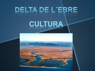 Cultura de la delta de l´ebre