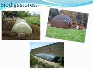 Biodigestores.
 