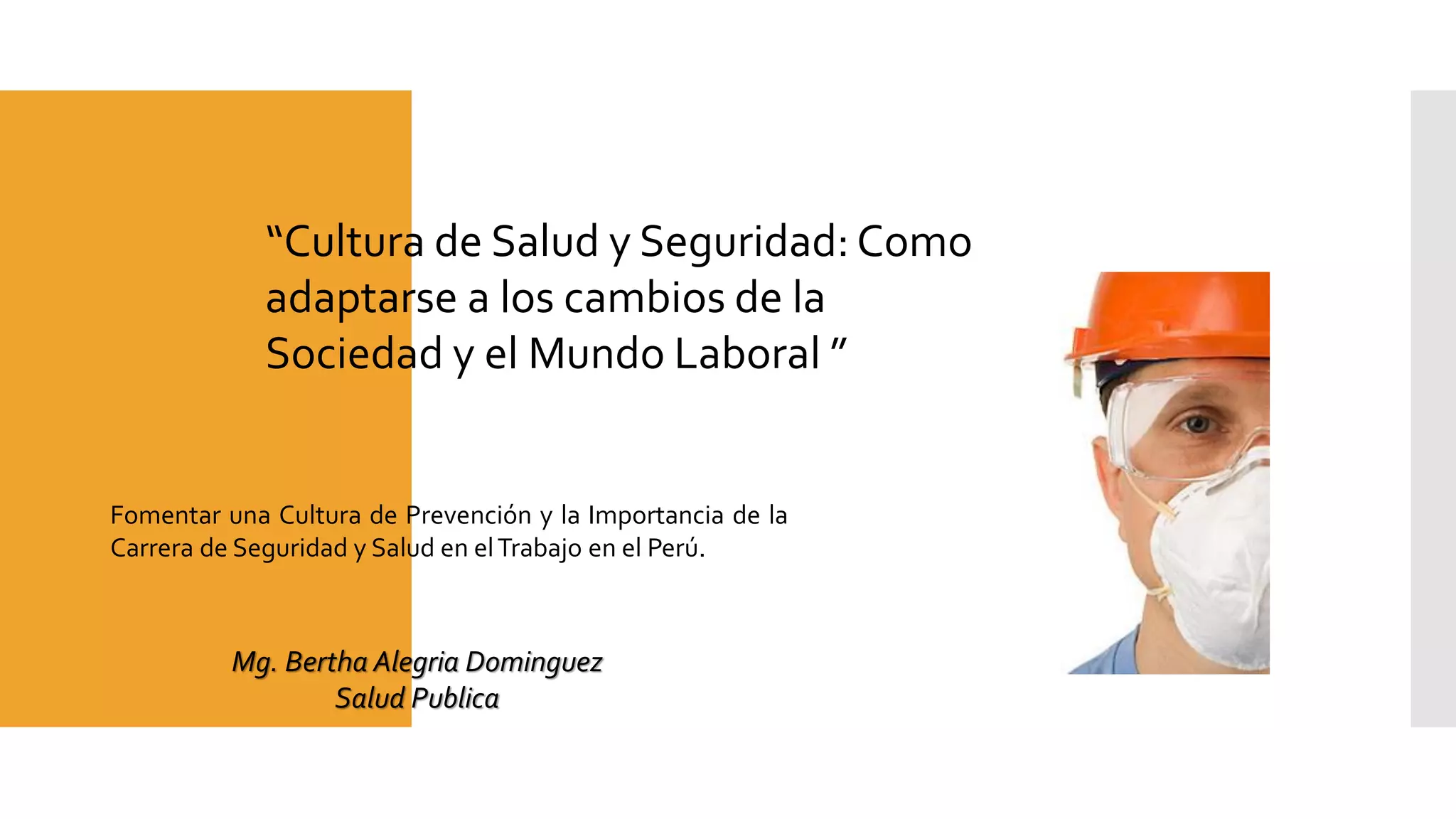 Cultura de salud y seguridad nuevos desafios | PDF