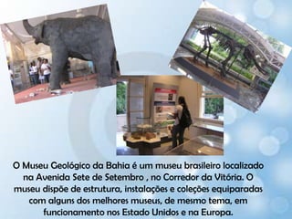 O Museu Geológico da Bahia é um museu brasileirolocalizado na Avenida Sete de Setembro, no Corredor da Vitória. O museu dispõe de estrutura, instalações e coleções equiparadas com alguns dos melhores museus, de mesmo tema, em funcionamento nos Estado Unidos e na Europa.