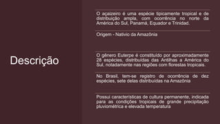 Descrição
O açaizeiro é uma espécie tipicamente tropical e de
distribuição ampla, com ocorrência no norte da
América do Sul, Panamá, Equador e Trinidad.
Origem - Nativio da Amazônia
O gênero Euterpe é constituído por aproximadamente
28 espécies, distribuídas das Antilhas a América do
Sul, notadamente nas regiões com florestas tropicais.
No Brasil, tem-se registro de ocorrência de dez
espécies, sete delas distribuídas na Amazônia
Possui características de cultura permanente, indicada
para as condições tropicais de grande precipitação
pluviométrica e elevada temperatura
 