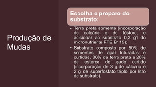 Produção de
Mudas
Escolha e preparo do
substrato:
• Terra preta somente (incorporação
do calcário e do fósforo, e
adicionar ao substrato 0,3 g/l do
micronutriente FTE Br 15);
• Substrato composto por 50% de
sementes de açaí trituradas e
curtidas, 30% de terra preta e 20%
de esterco de gado curtido
(incorporação de 3 g de cálcario e
2 g de superfosfato triplo por litro
de substrato).
 