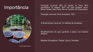 Importância
Produção nacional: 90% do estado do Pará, 60%
permanece no estado. 35% vão para estados como,
Minas Gerais; São Paulo; Rio de Janeiro. 5% Exportação.
Produção nacional, Pará; Amazônia: 78%.
O Brasil produz cerca de 1,6 milhões de toneladas.
Beneficiamento do açaí, gerando a polpa, nos próprios
estados.
Bebidas Energéticas, Polpas, Sucos, Sorvetes.
Fonte: Google imagens
 