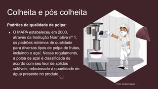 Colheita e pós colheita
Padrões de qualidade da polpa:
● O MAPA estabeleceu em 2000,
através da Instrução Normativa nº 1,
os padrões mínimos de qualidade
para diversos tipos de polpa de frutas,
incluindo o açaí. Nesse regulamento,
a polpa de açaí é classificada de
acordo com seu teor de sólidos
solúveis, relacionado à quantidade de
água presente no produto.
Fonte: Google imagens
 