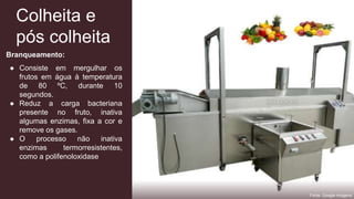 Colheita e
pós colheita
Branqueamento:
● Consiste em mergulhar os
frutos em água à temperatura
de 80 ºC, durante 10
segundos.
● Reduz a carga bacteriana
presente no fruto, inativa
algumas enzimas, fixa a cor e
remove os gases.
● O processo não inativa
enzimas termorresistentes,
como a polifenoloxidase
Fonte: Google imagens
 
