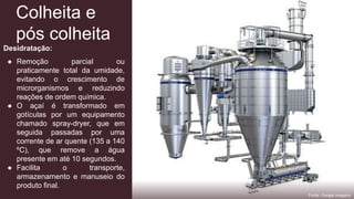 Colheita e
pós colheita
Desidratação:
● Remoção parcial ou
praticamente total da umidade,
evitando o crescimento de
microrganismos e reduzindo
reações de ordem química.
● O açaí é transformado em
gotículas por um equipamento
chamado spray-dryer, que em
seguida passadas por uma
corrente de ar quente (135 a 140
ºC), que remove a água
presente em até 10 segundos.
● Facilita o transporte,
armazenamento e manuseio do
produto final.
Fonte: Google imagens
 