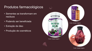 Produtos farmacológicos
• Sementes se transformam em
resíduos
• Podendo ser beneficiada
• Extração de óleo
• Produção de cosméticos
Fonte: Google imagens
Fonte: Google imagens
Fonte: Google imagens
 