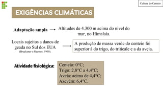 EXIGÊNCIAS CLIMÁTICAS
Adaptação ampla Altitudes de 4.300 m acima do nível do
mar, no Himalaia.
A produção de massa verde do centeio foi
superior à do trigo, do triticale e a da aveia.
Locais sujeitos a danos de
geada no Sul dos EUA
(Bruckener e Raymer, 1990).
Atividade fisiológica: Centeio: 0°C;
Trigo: 2,8°C a 4,4°C;
Aveia: acima de 4,4°C;
Azevém: 6,4°C.
Cultura do Centeio
 