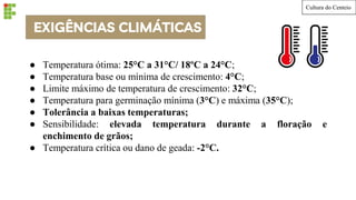 EXIGÊNCIAS CLIMÁTICAS
● Temperatura ótima: 25°C a 31°C/ 18ºC a 24°C;
● Temperatura base ou mínima de crescimento: 4°C;
● Limite máximo de temperatura de crescimento: 32°C;
● Temperatura para germinação mínima (3°C) e máxima (35°C);
● Tolerância a baixas temperaturas;
● Sensibilidade: elevada temperatura durante a floração e
enchimento de grãos;
● Temperatura crítica ou dano de geada: -2°C.
Cultura do Centeio
 