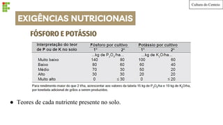 EXIGÊNCIAS NUTRICIONAIS
FÓSFORO E POTÁSSIO
● Teores de cada nutriente presente no solo.
Cultura do Centeio
 