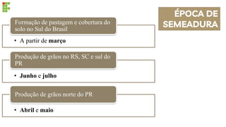 • A partir de março
Formação de pastagem e cobertura do
solo no Sul do Brasil
• Junho e julho
Produção de grãos no RS, SC e sul do
PR
• Abril e maio
Produção de grãos norte do PR
ÉPOCA DE
SEMEADURA
 