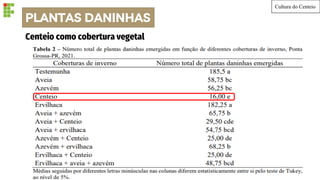 PLANTAS DANINHAS
Cultura do Centeio
Centeio como cobertura vegetal
 