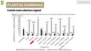 PLANTAS DANINHAS
Cultura do Centeio
Centeio como cobertura vegetal
 