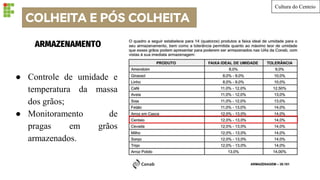 COLHEITA E PÓS COLHEITA
ARMAZENAMENTO
Cultura do Centeio
● Controle de umidade e
temperatura da massa
dos grãos;
● Monitoramento de
pragas em grãos
armazenados.
 