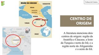 CENTRO DE
ORIGEM
A literatura menciona dois
centros de origem: região da
Anatólia e Cáucaso, a leste
da Turquia e norte do Irã; e a
região norte do Afeganistão
e a oeste do Irã.
Cultura do Centeio
 
