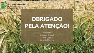 Adriel Mai
Eduarda Amaral
Fabiel Cossul
Jankelly Moreira
OBRIGADO
PELA ATENÇÃO!
 