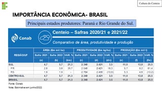 IMPORTÂNCIA ECONÔMICA- BRASIL
Principais estados produtores: Paraná e Rio Grande do Sul.
Cultura do Centeio
 