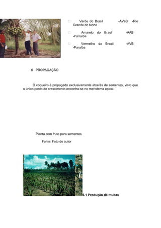  Verde do Brasil -AVeB -Rio
Grande do Norte
 Amarelo do Brasil -AAB
-Parraíba
 Vermelho do Brasil -AVB
-Paraíba
6 PROPAGAÇÃO
O coqueiro é propagado exclusivamente através de sementes, visto que
o único ponto de crescimento encontra-se no meristema apical.
Planta com fruto para sementes
Fonte: Foto do autor
6.1 Produção de mudas
 