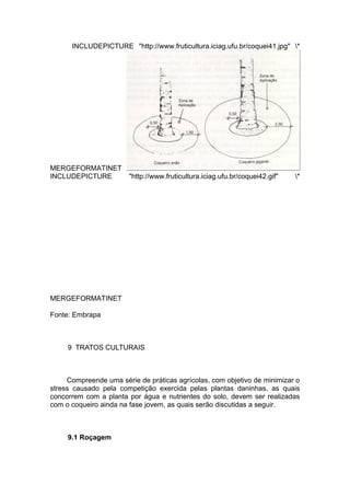 INCLUDEPICTURE "http://www.fruticultura.iciag.ufu.br/coquei41.jpg" *
MERGEFORMATINET
INCLUDEPICTURE "http://www.fruticultura.iciag.ufu.br/coquei42.gif" *
MERGEFORMATINET
Fonte: Embrapa
9 TRATOS CULTURAIS
Compreende uma série de práticas agrícolas, com objetivo de minimizar o
stress causado pela competição exercida pelas plantas daninhas, as quais
concorrem com a planta por água e nutrientes do solo, devem ser realizadas
com o coqueiro ainda na fase jovem, as quais serão discutidas a seguir.
9.1 Roçagem
 