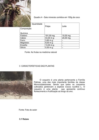 Quadro 4 - Sais minerais contidos em 100g de coco
Quantidade
Composição
Química
Polpa Leite
Fósforo 191,00 mg 10,00 mg
Cálcio 43,00 m g 20,00 mg
Ferro 3,60 m g -
Magnésio 9,00 m g -
Enxofre 13,00 m g -
Silício 0,50 m g -
Fonte: As frutas na medicina natural
3 CARACTERÍSTICAS DAS PLANTAS
O coqueiro é uma planta pertencente a Família
Palmae, uma das mais importante famílias da classe
Monocotyledoneae. Sendo que todos os coqueiros
cultivados pertencem a espécie Cocos nucifera L. O
coqueiro é uma planta que apresenta contínuo
florescimento e frutificação ao longo do ano.
Fonte: Foto do autor
3.1 Raízes
 