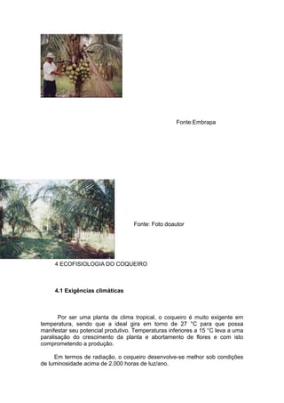 Fonte:Embrapa
Fonte: Foto doautor
4 ECOFISIOLOGIA DO COQUEIRO
4.1 Exigências climáticas
Por ser uma planta de clima tropical, o coqueiro é muito exigente em
temperatura, sendo que a ideal gira em torno de 27 °C para que possa
manifestar seu potencial produtivo. Temperaturas inferiores a 15 °C leva a uma
paralisação do crescimento da planta e abortamento de flores e com isto
comprometendo a produção.
Em termos de radiação, o coqueiro desenvolve-se melhor sob condições
de luminosidade acima de 2.000 horas de luz/ano.
 