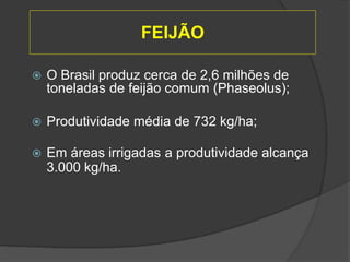  O Brasil produz cerca de 2,6 milhões de
toneladas de feijão comum (Phaseolus);
 Produtividade média de 732 kg/ha;
 Em áreas irrigadas a produtividade alcança
3.000 kg/ha.
FEIJÃO
 