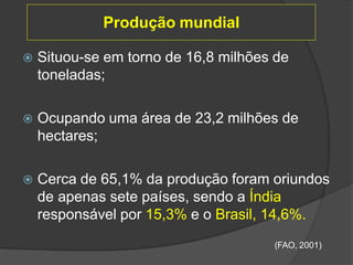 Produção mundial
 Situou-se em torno de 16,8 milhões de
toneladas;
 Ocupando uma área de 23,2 milhões de
hectares;
 Cerca de 65,1% da produção foram oriundos
de apenas sete países, sendo a Índia
responsável por 15,3% e o Brasil, 14,6%.
(FAO, 2001)
 